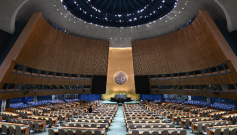 Organización de las Naciones Unidas.