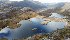 Delimitar el ecosistema por etapas y la creación de nuevas áreas de reserva forestal.