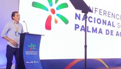 Nicolás Pérez Marulanda, presidente ejecutivo de Fedepalma. / Foto: Leonardo Favio Oliveros-La Opinión